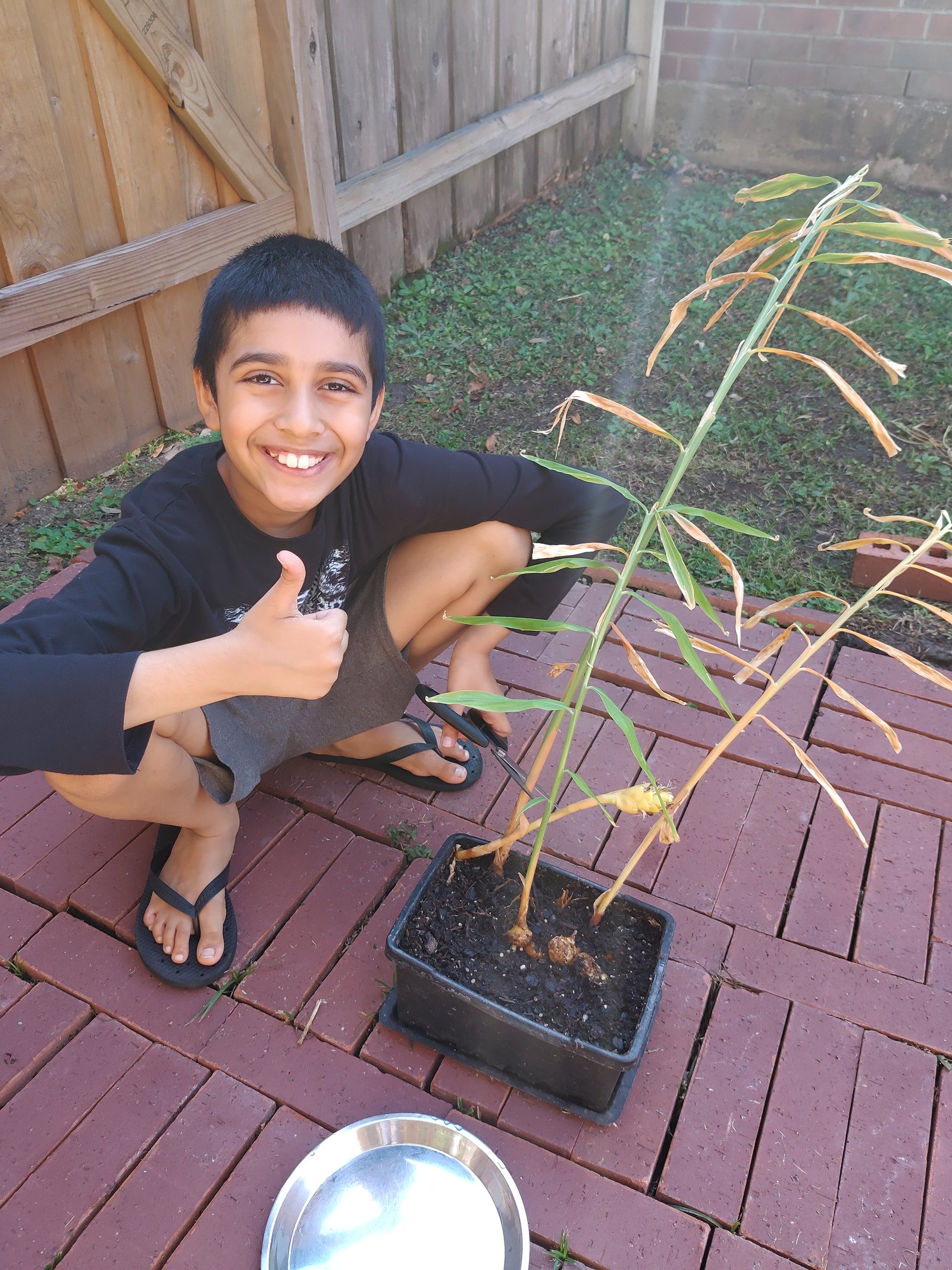 Ayaan's Houston garden